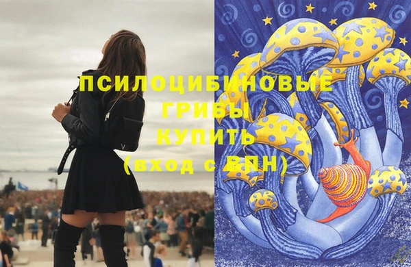 альфа пвп Дмитров