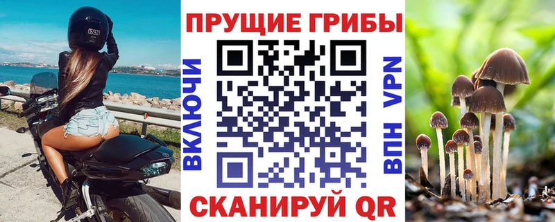 Купить закладки  Среднеуральск  Галлюциногенные грибы прущие грибы 